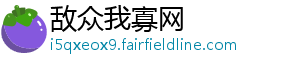 敌众我寡网